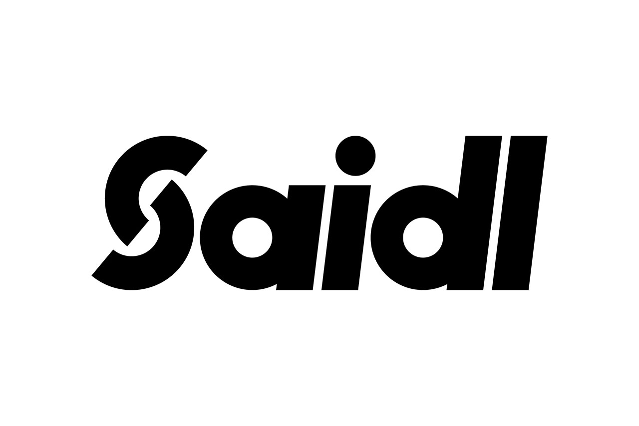 Saidl Full Logo